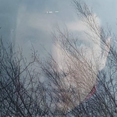 Дмитрий Самбур