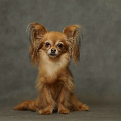 Вера Лесниченко, 13.08, Воронеж