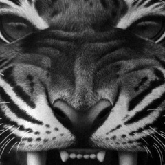 Георгий Гусев, 29.12.1986, Оренбург