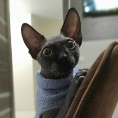 Никита Кулагин, 20.01, Краснодар