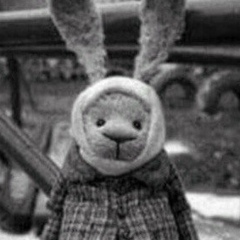 Тима Земляникин, 31.07.1921, Вологда