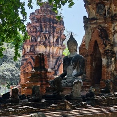 Наталья Малиновская