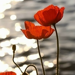 Ляйля Калибекова, 18.09.1984, Алматы