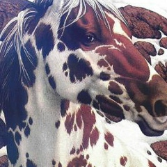 Виктор Дудойть, 22.11.1966, Санкт-Петербург