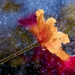 Albina Osmanova, 09.10.1987, Алматы