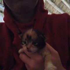 Skaidrite Rumaka, 05.12.1999, Даугавпилс