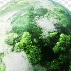 Диана Ляпина-Текуч, Санкт-Петербург