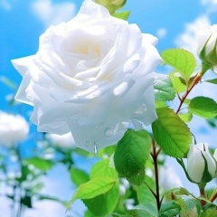 Анна Федорова, 02.12.1987, Брянск