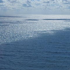 Светлана Пакаева, 10.11, Екатеринбург