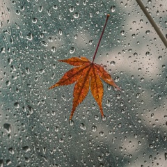 Эльчин Набиев, Нижний Тагил