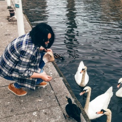 Nastik Rodovets, 19.11.1989, Беэр Шева