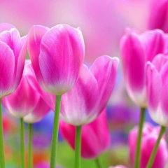 Евгения Мягких, 04.09, Челябинск