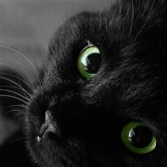 Наталья Голованчикова(Распопова), 14.02.1973, Москва