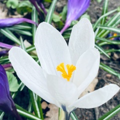 Женечка Григорьева Панкова, 11.06