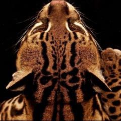 Larisa Umarova, 23.12