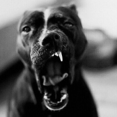 Арсений Стечкин, 14.02.1991, Петрозаводск