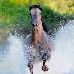 Ana Keda, 21.04, Giza