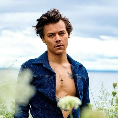 Harry Styles, 01.02.1994, Holmes Chapel