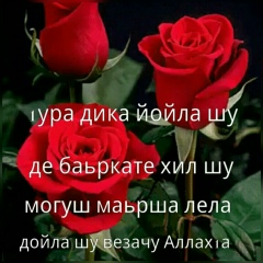 Луиза Шамсудинова, 10.08, Гудермес