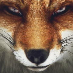 Валентин Кузьмичев