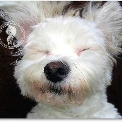 Евгения Гущина, 26.02, Сочи