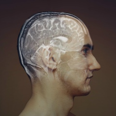 Петр Петрович, 08.04, Karlsruhe