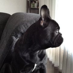 Ирина Волкович, 28.06