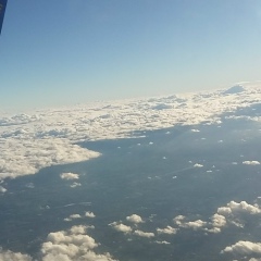 Дима Купитман, Хайфа