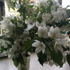 Марина Василевская, Нефтеюганск