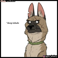 Антон Штейна, Архангельск