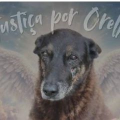 Elvis Camillo, 23.03, São Paulo