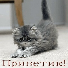 Карина Абильбекова, 01.12.2000, Караганда