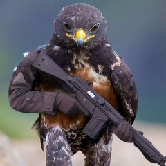 Иван Гомзин, 10.03, Шуя