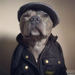 Антон Анисимов, 11.06, Москва