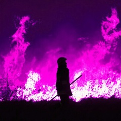 Хасан Эдильсултанов, Грозный