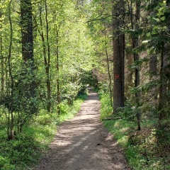 Андрей Славин, Санкт-Петербург