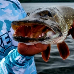 Андрей Есипов, 17.01, Воронеж