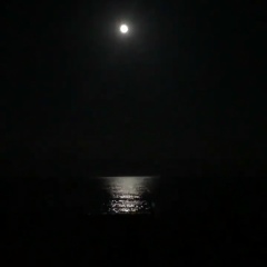 Нуржан Асанова, 26.11.2003, Бишкек