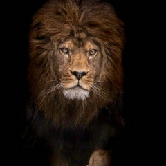 Ердос Касимбеков, 27.01