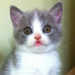 Евгения Носова, 26.08, Кривой Рог