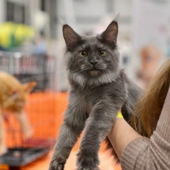 Валерия Журина, 29.06.1998, Санкт-Петербург