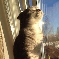 Анастасия Баринова, 06.06, Днепр (Днепропетровск)