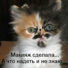 Алина Гаврилова, 17.02, Ярославль