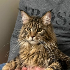 Артём Доспалов, 19.08, Ростов-на-Дону