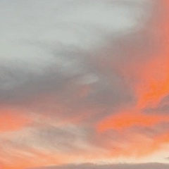 Наталья Резникова, Москва