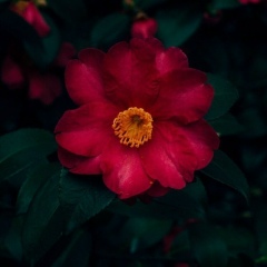 Marina Feliksovna, 01.05, Москва