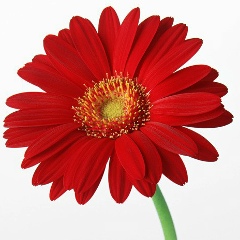 Ирина Яковлева, 10.03, Кокшетау