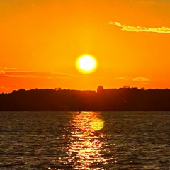 Лида Суховей