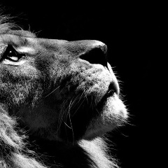 Евгений Дагаев, 11.08