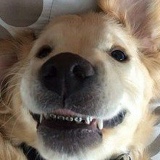 Nursaya Shardarova, 13.01.1997, Астана